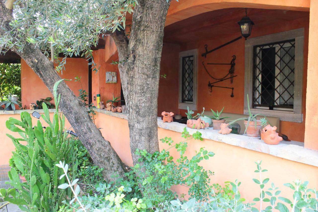 B&B Country Lemon Санта-Марта Экстерьер фото